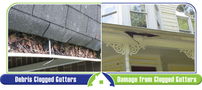 Gutter Issues and Damage